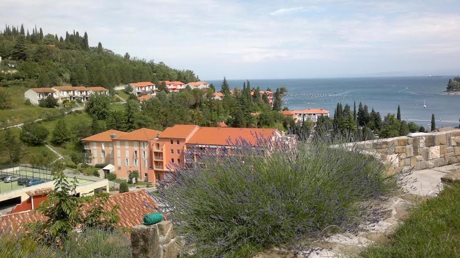 Heart Of Strunjan Apartments Al Portorož Exterior foto